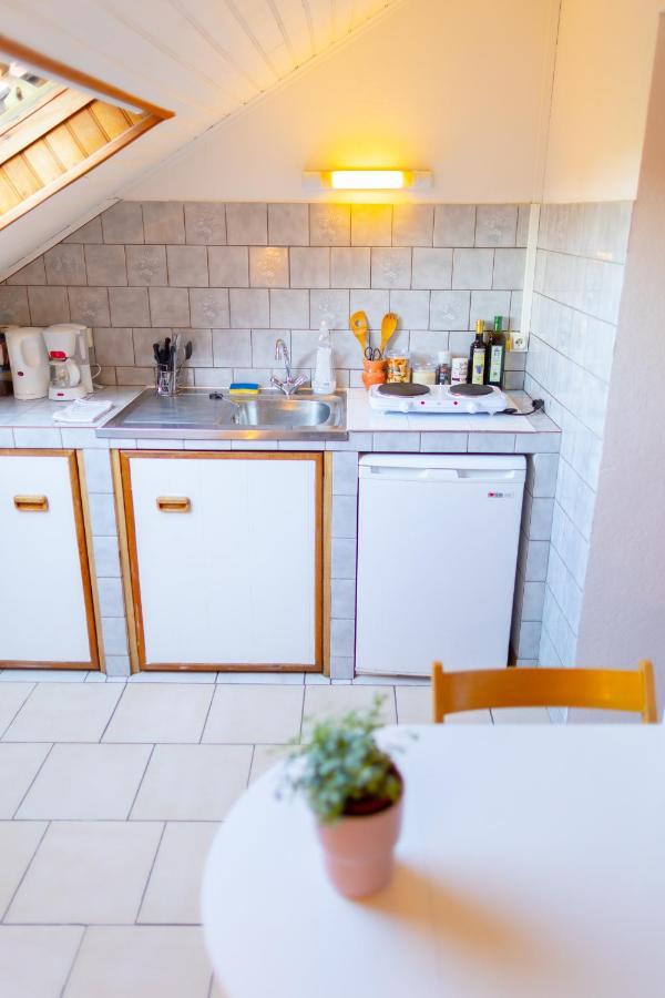 Studio Cocon Sous Les Toits De Jaures Belfort Luaran gambar